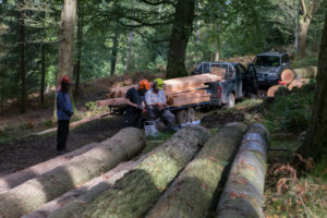 Timber Loaded and Ready to Deliver