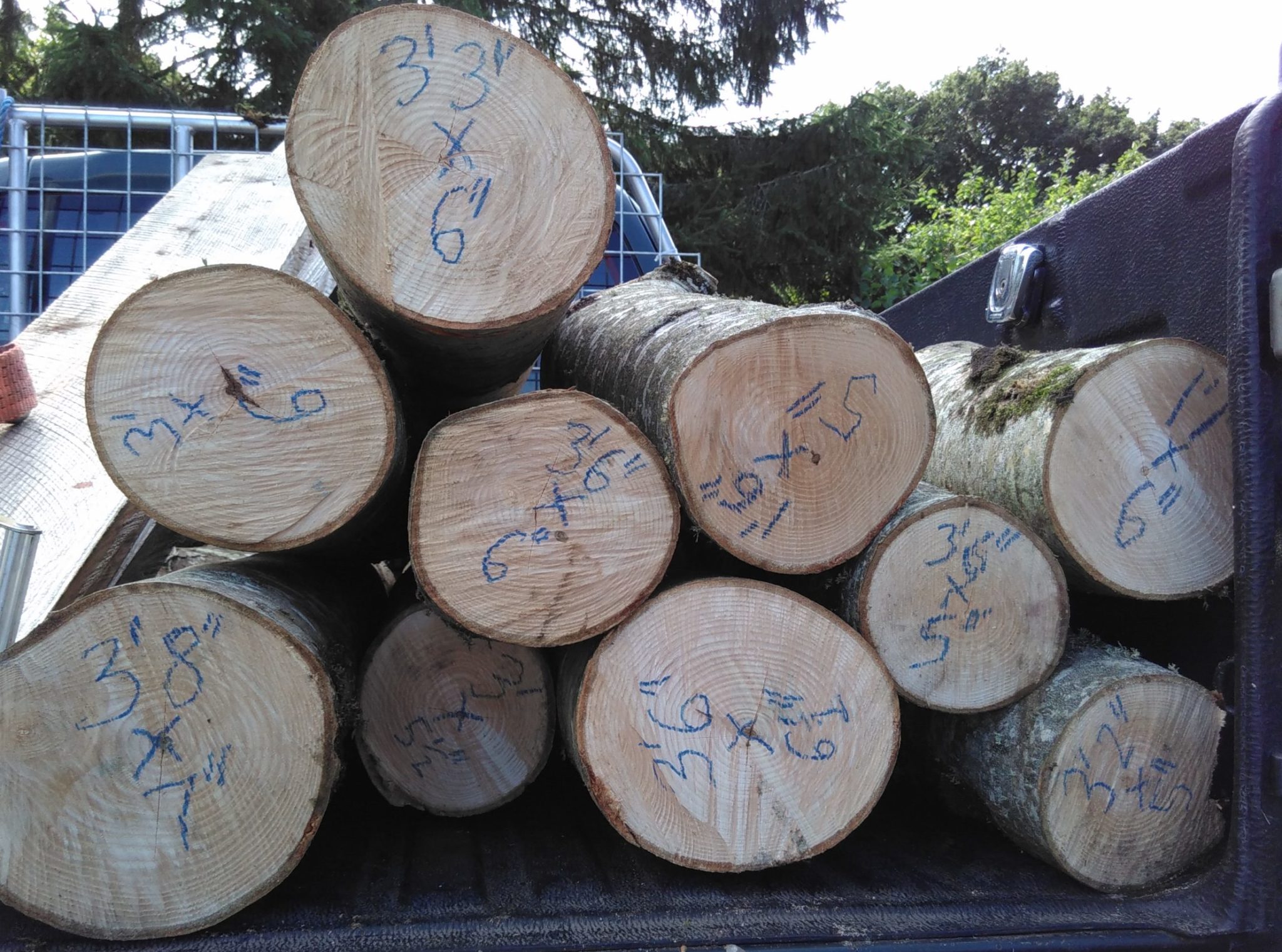 Green Timber Devon Timber