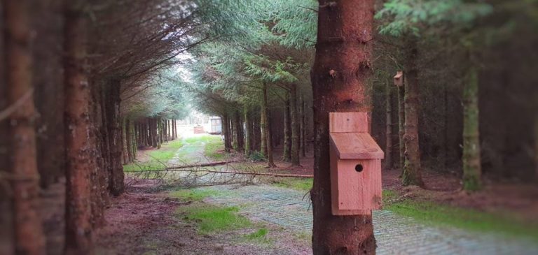 Wildlife boxes – Devon Timber