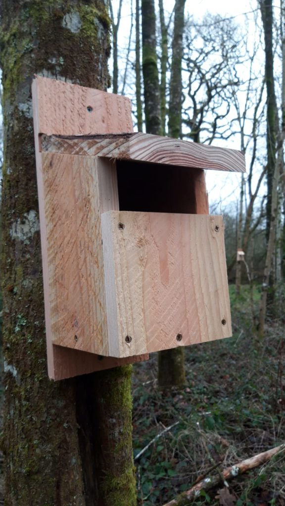 Open Front Bird Box