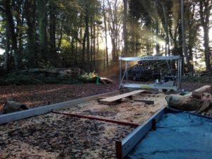 Mobile Sawmill in the Morning Light in the Woods