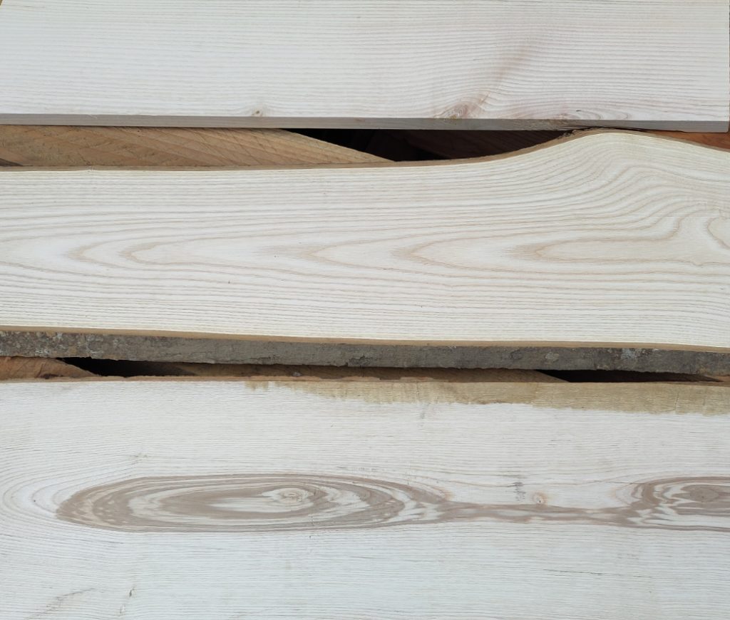 Close up of Devon Grown Ash Grain - 3 separate pieces