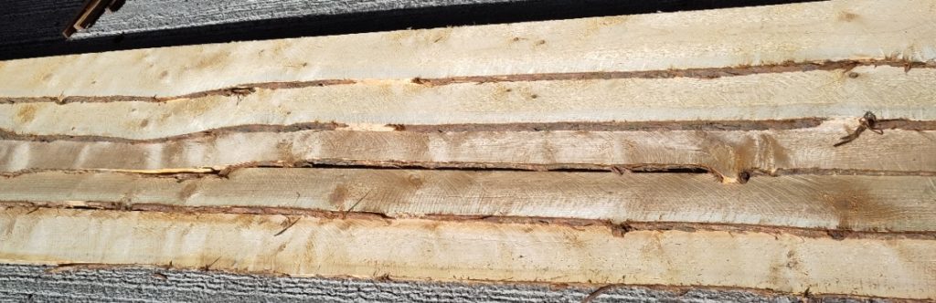 Waney Edged Cladding in Lawson Cypress